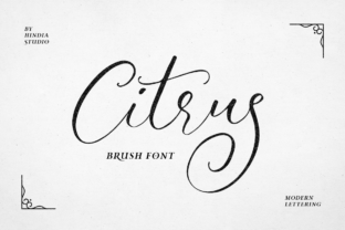 Citrus: A Handmade Script for Elegant and Timeless Design