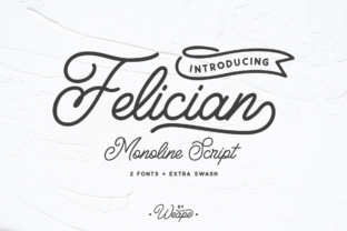 Felician: A Versatile Font for Everyday Design