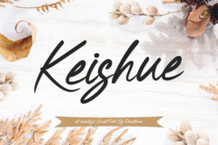 Keishue: A Modern Handwritten Typeface for Elegant Design