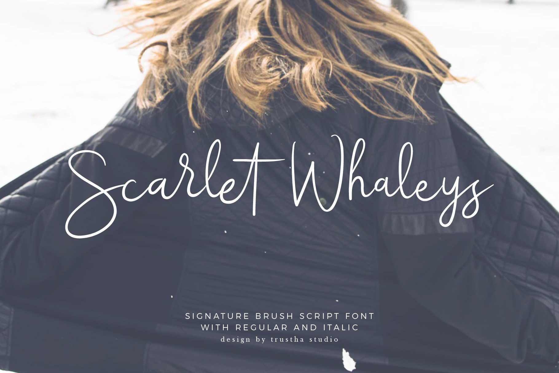 Scarlet Whaleys: A Signature Brush Script Font