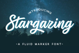 Stargazing: A Beautiful Script Font